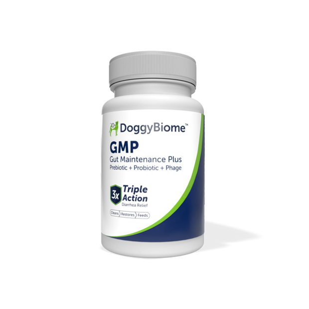 dog gut maintenance plus supplement capsules